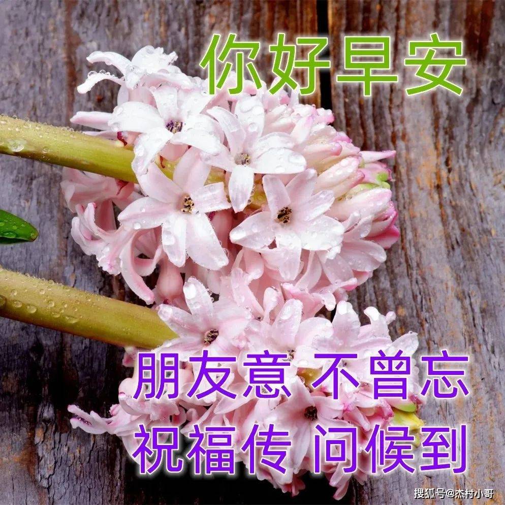 学会了吗（恶搞妈妈怀孕图片带字大全）怀孕照片 验孕棒恶作剧 第10张