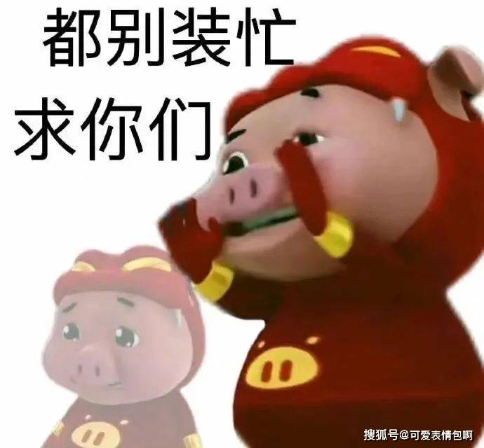 黑白猪猪侠表情包动态猪猪侠那你呢 除了知道我是全宇宙最强超级无敌