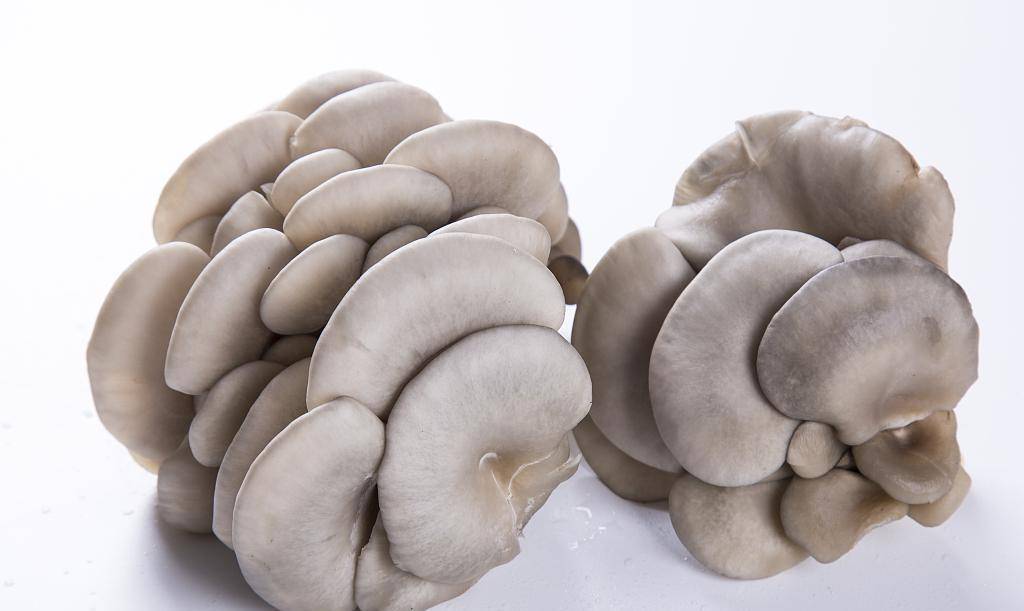 买平菇选大的好还是小的好?菜农:学一招,别再买错了_味道_建议_水分