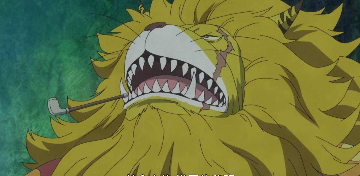 其实对于这个问题的答案,早在当初《海贼王》剧情进入到"佐乌岛"篇章