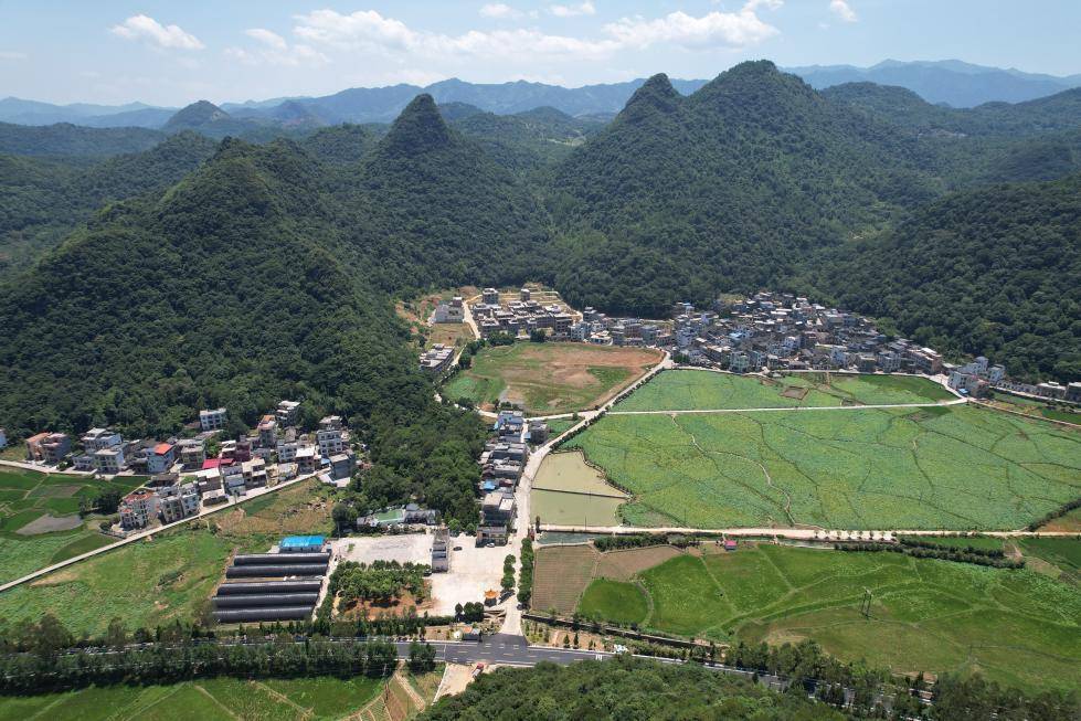 永州西湾村:生态与产业实现"双赢" 走出乡村产业振兴新路子_发展_湖南