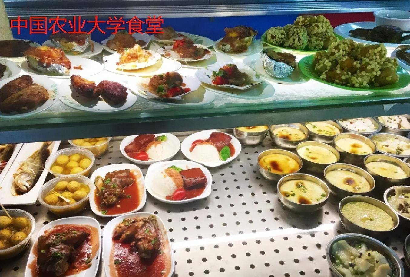 比如中国农业大学的食堂就深受学生欢迎,让其