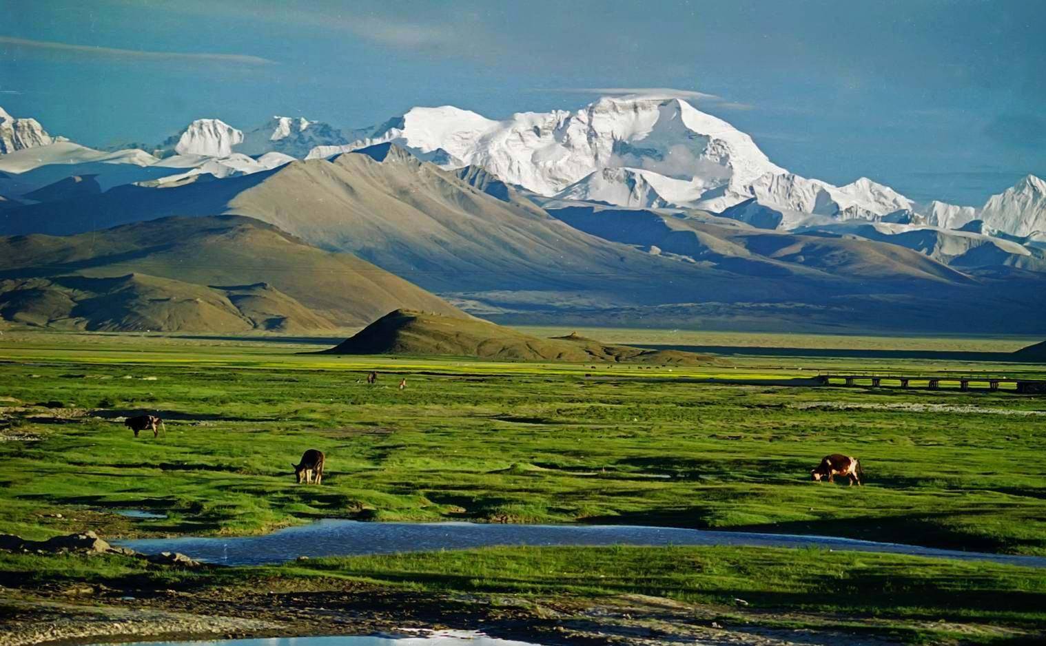 珠峰脚下的县城定日,神庙,高峰和植被茂密的山谷_海拔_全世界_西藏