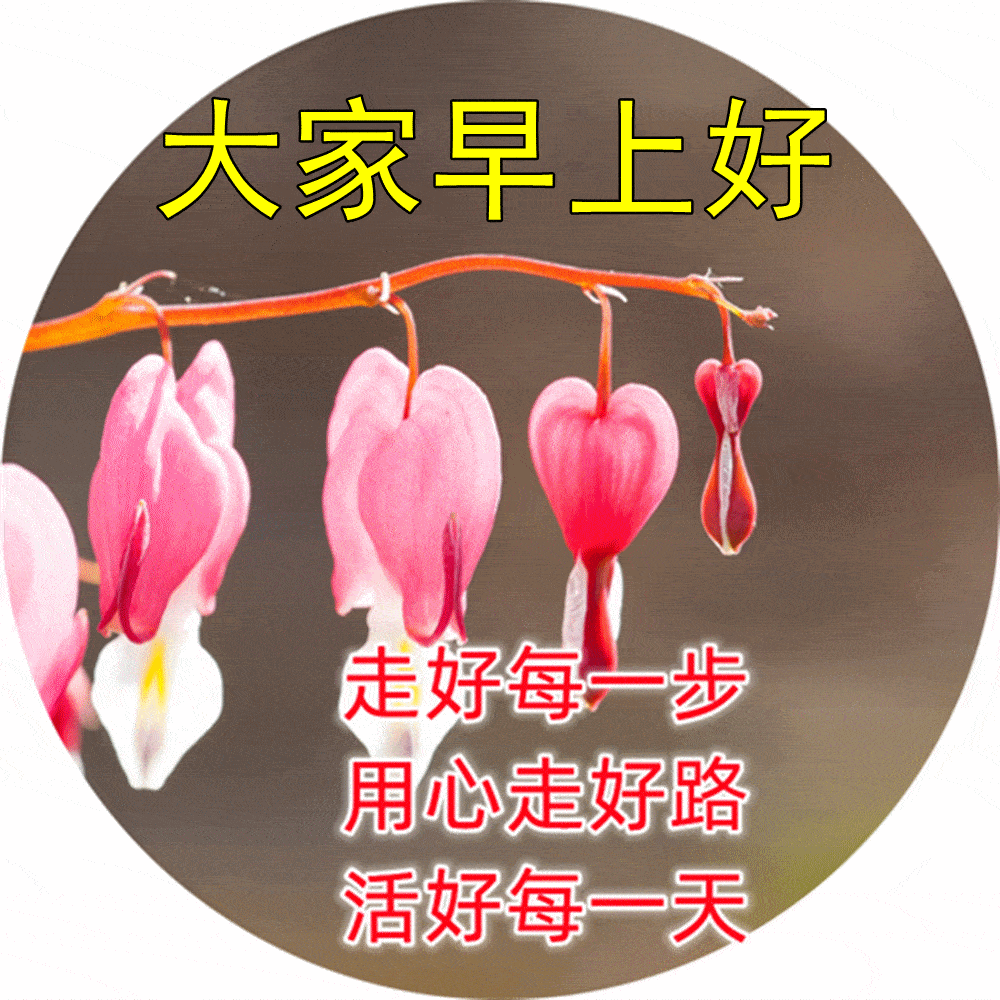 2023动图早晨好问候语 2023兔年早上好表情图片大全_朋友_安康_开心