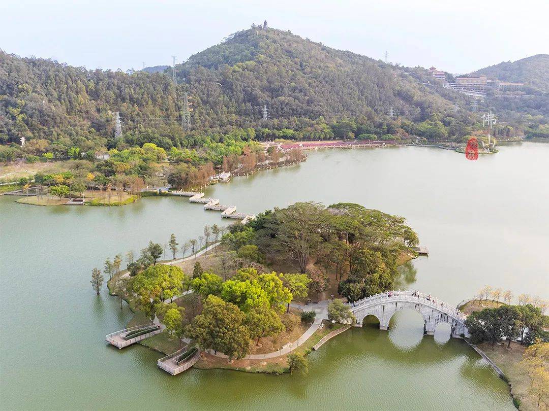 顺德人好幸福,这个最大的免费景区,升级了很多网红打卡点_顺峰山公园