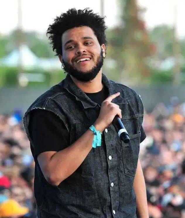 格莱美_安吉丽娜朱莉_专辑