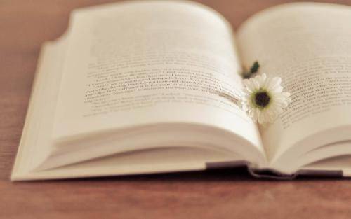 橡树创新:读书既要能入,又要能出在读书中_乐趣_意境_古人