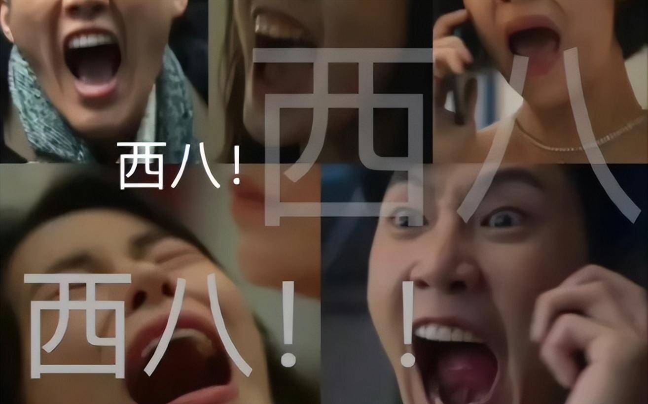 《黑暗荣耀》朴成勋可是真正贵公子_网友_部分_扮演者