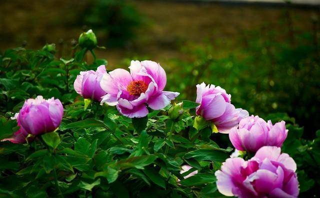 招财纳宝,八方招财.返回搜狐,查看更多