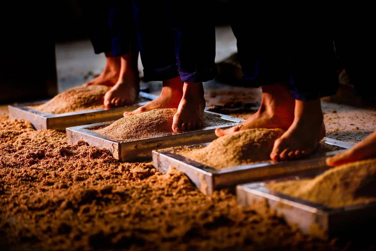 酱香白酒制曲之踩曲——体能和技巧的完美结合_工艺_大曲_酿造