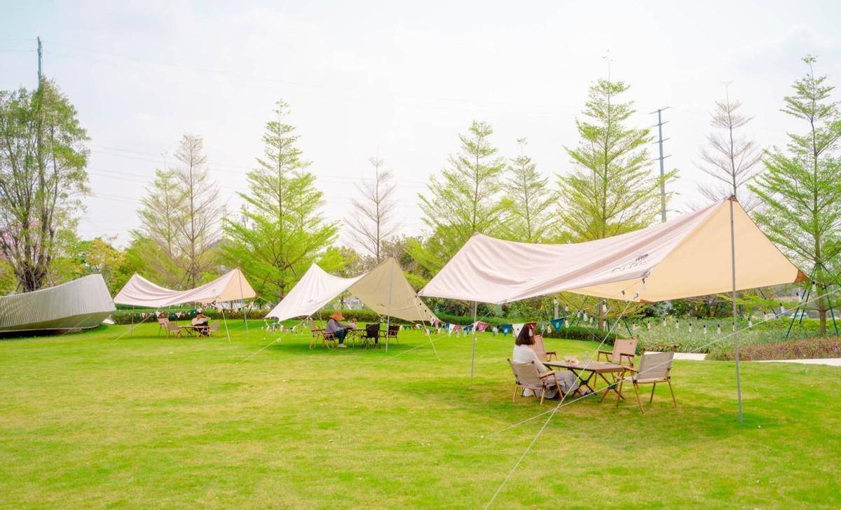 广州的春天那么短,总要去大学城露营一次吧(附最新露营攻略)_公园