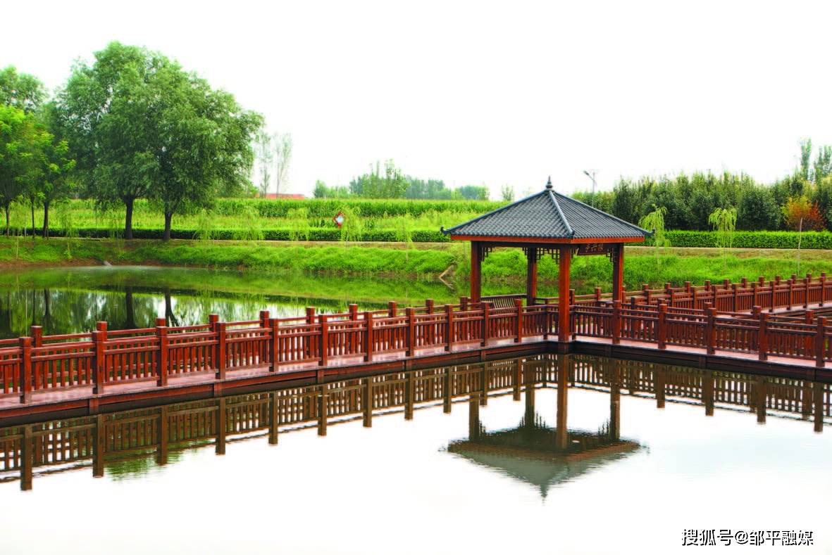 邹平魏桥镇:点燃攻坚引擎 吹响前进号角_发展_环境_企业