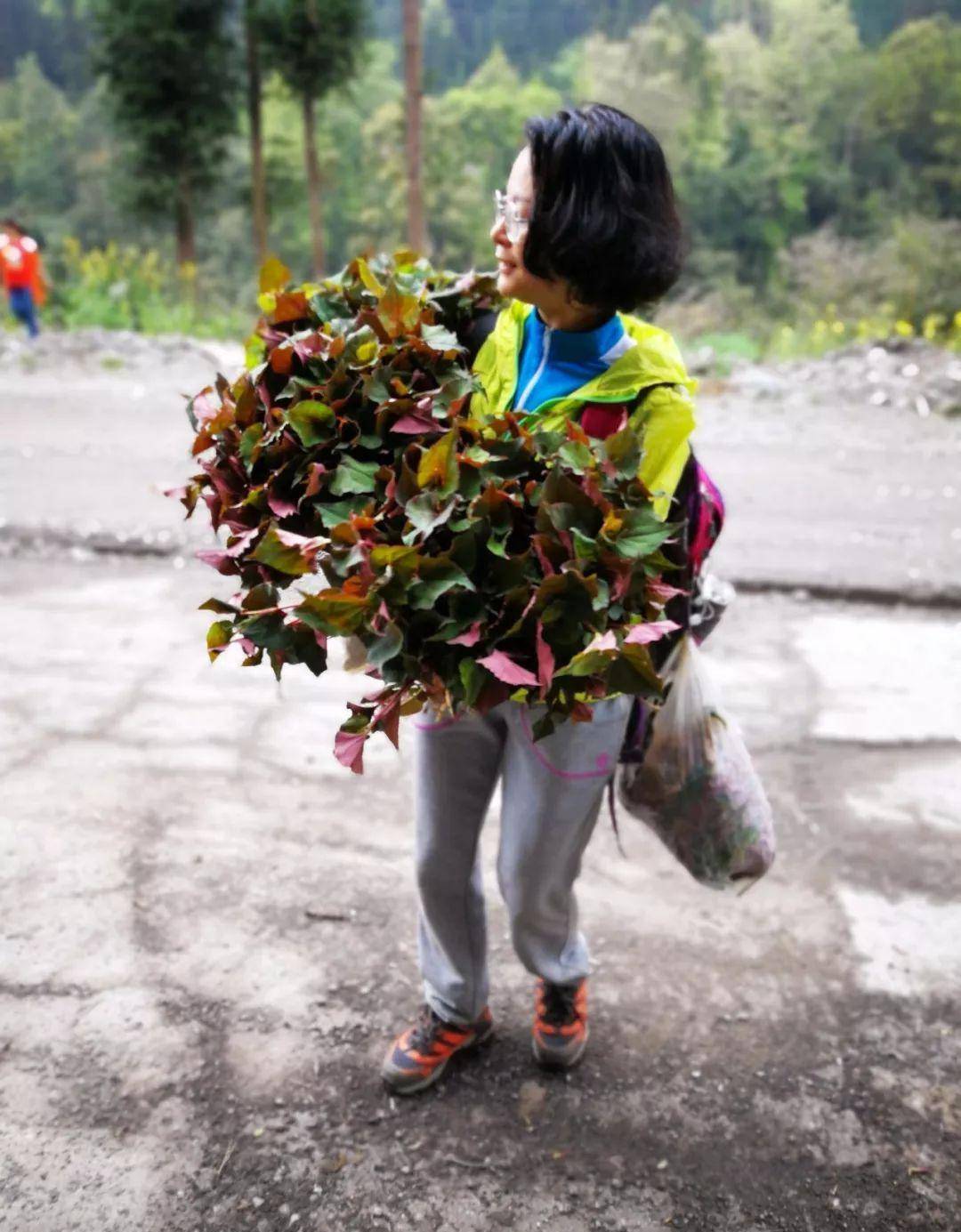 成都近郊户外的天堂,徒步,挖野菜一网打尽!当天打来回!