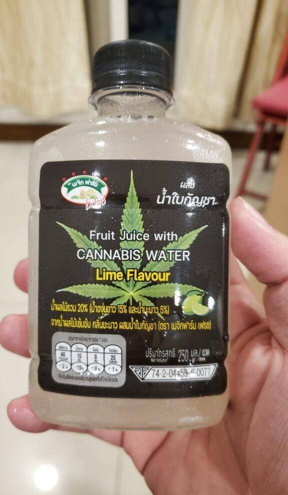 泰国沦为"噶腰子中转站" 美女网红在泰国_旅游_金三角_缅甸