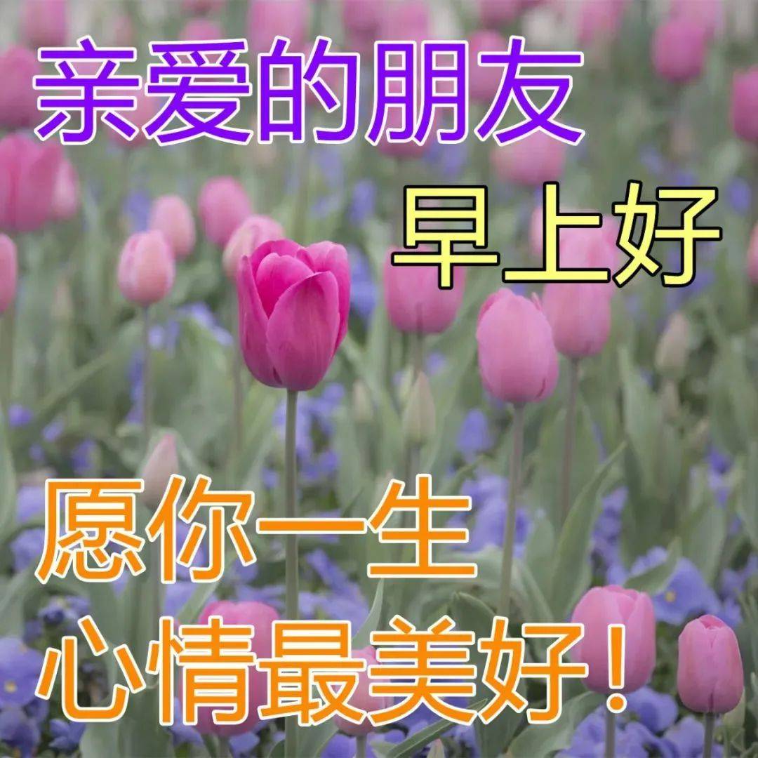 母亲节鲜花图片（母亲节鲜花简笔画画图片） 第2张