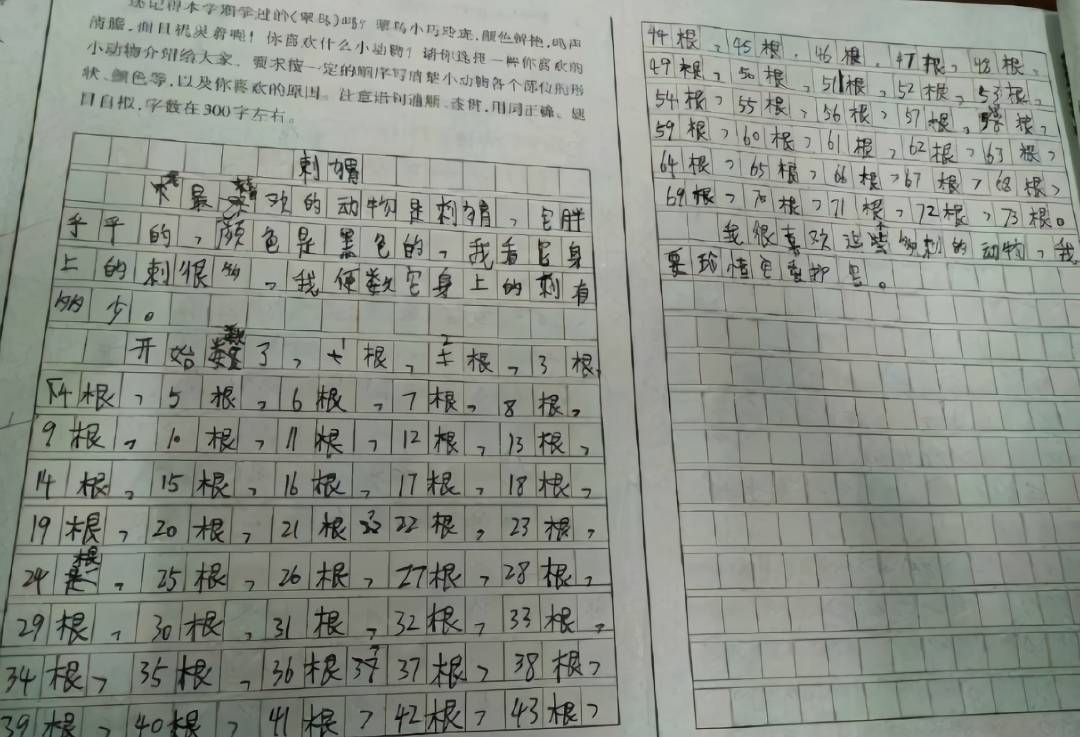 速看（小动物作文400字）动物优秀作文400字小狗三年级 第6张