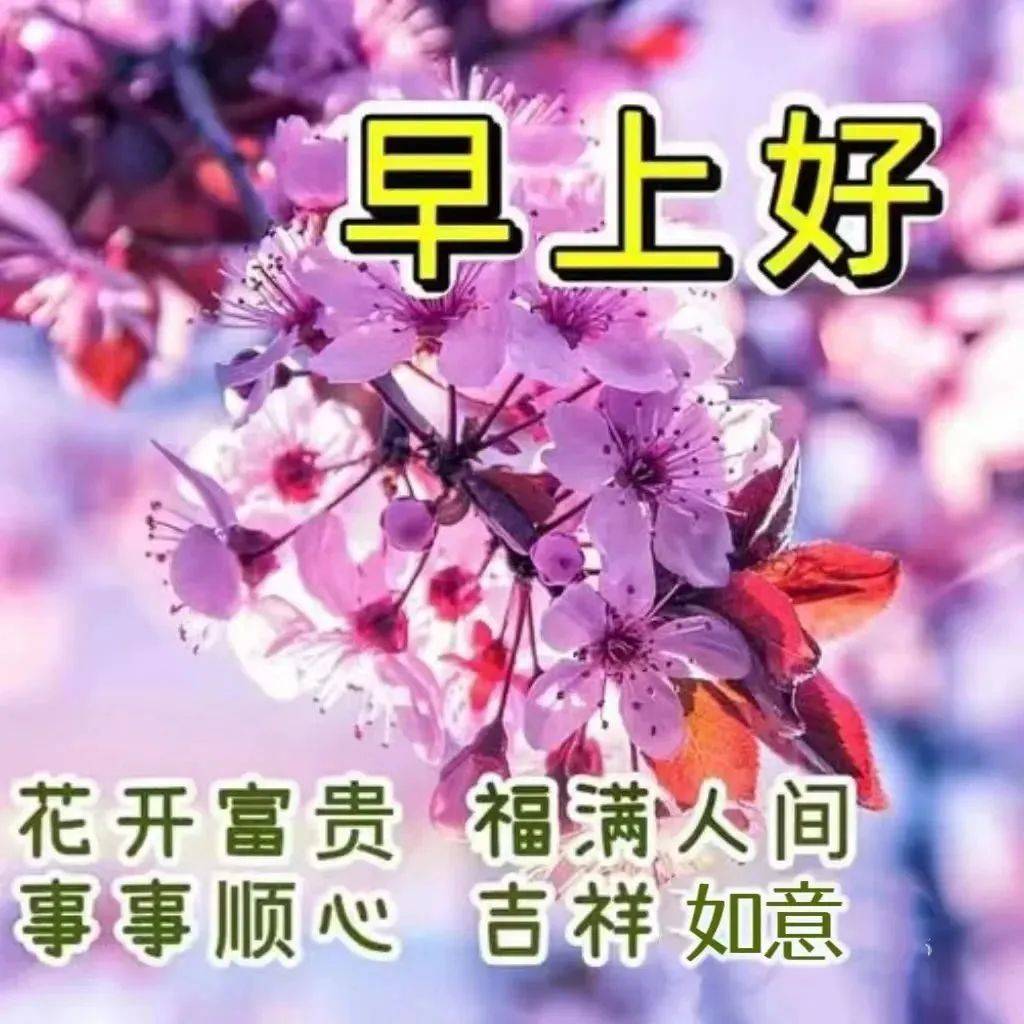 2023最新最全的早上好問候語圖片,創意好看的早上好問候語圖片合集