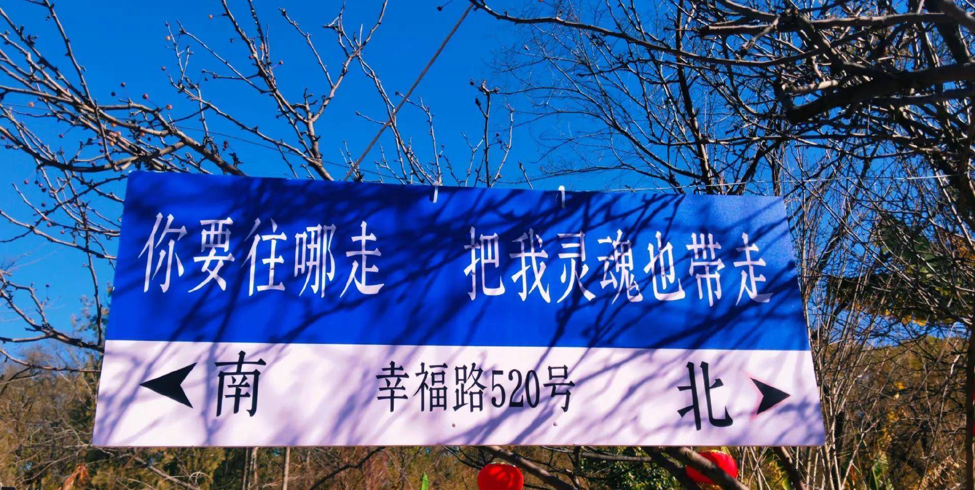 网红路牌的反骨们终于出现了!忍网红路牌很久了!_时候_城市_地方