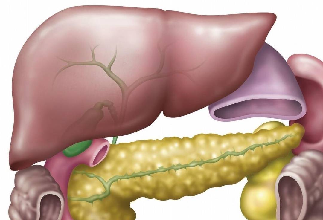 肝内胆管结石在急性期会有很哪些危害_患者_并发症_肝胆