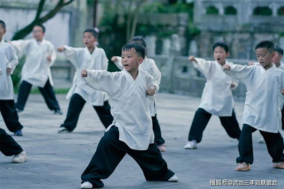 武当三丰派第十五代传人李师黄教授太乙玄门剑-17373 武当三丰派