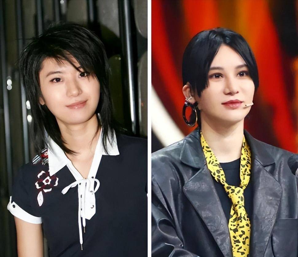 自从整容后,尚雯婕的音乐之路也开始剑走偏锋,在"电子音乐"上一去不复