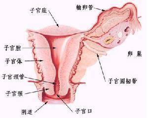 满满干货（骗父母说我怀孕了怎么办）骗父母说自己怀孕了违法吗 第2张