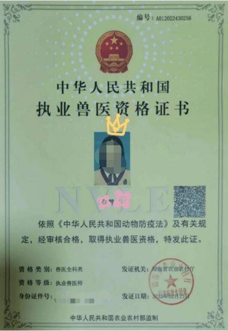 动物医学就是当宠物医生吗?