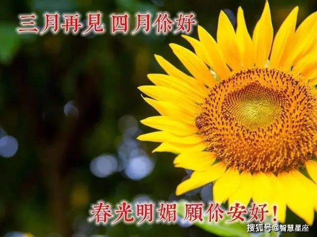 干货分享（骗朋友怀孕文案短句子图片）骗家人怀孕了怎么收场 第4张