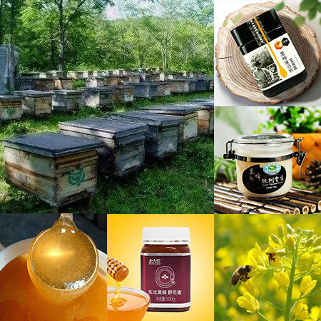 中国国家地理标志产品——饶河东北黑蜂_养蜂_自然保护区_蜂蜜