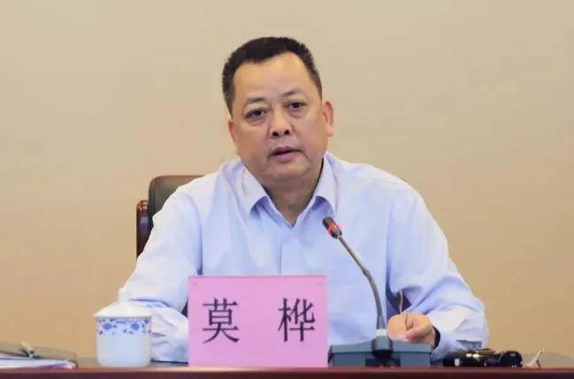 广西玉林书记莫桦被查,16岁考上本科,32岁时干省府办公厅秘书_工作