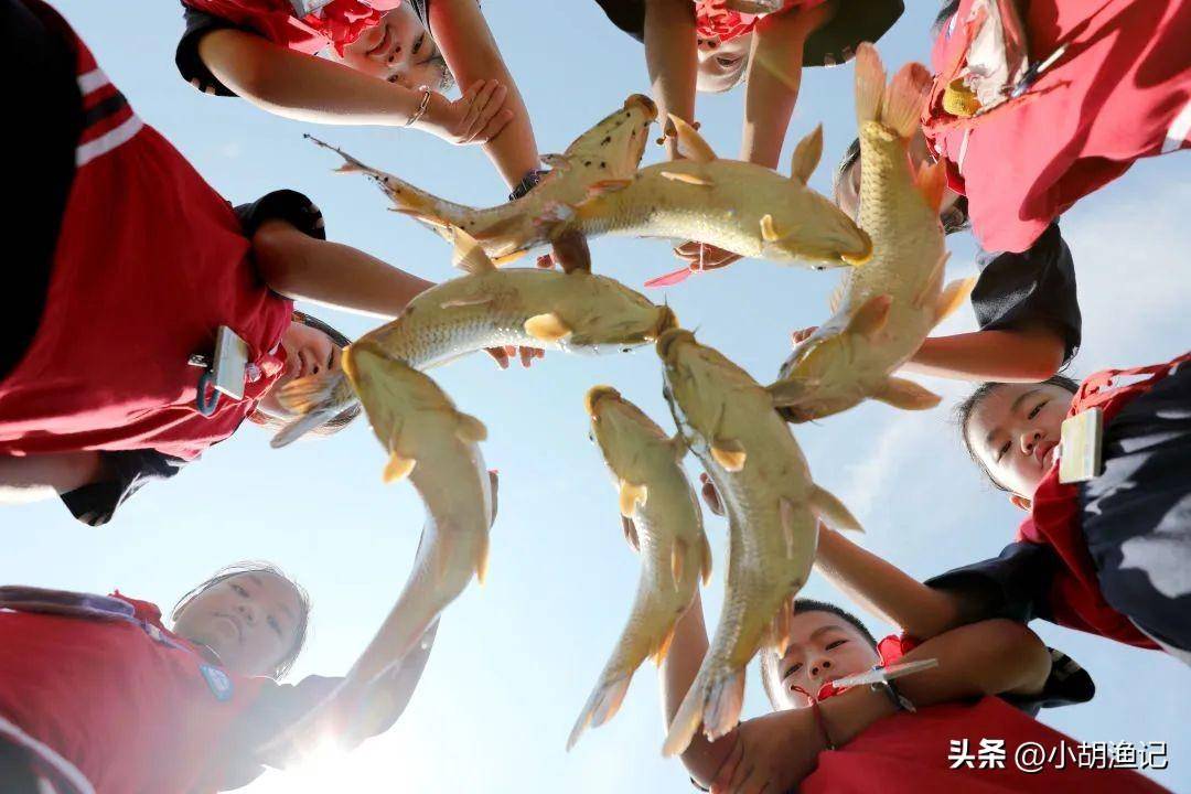 甘肃一学校表扬学生,考100分奖励一条鱼,寓意鱼跃龙门_鲤鱼_孩子_因为