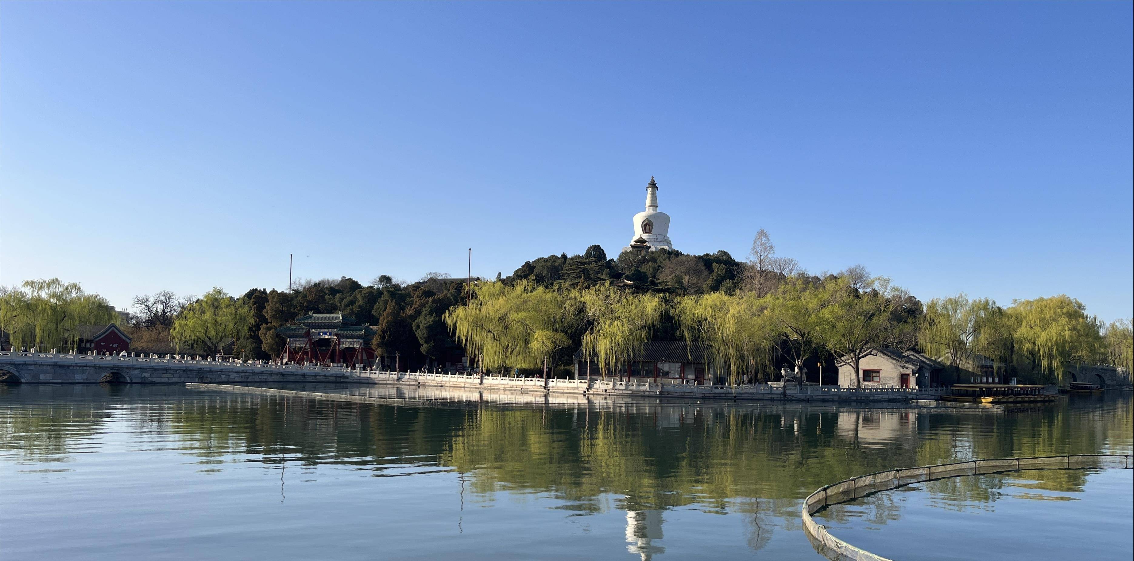 春色中的北海公园 逆光中的白塔熠熠生辉 湖畔美芽吐绿 美景令人陶醉