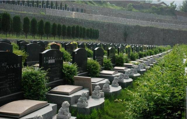公墓有多少年产权（原创
            公墓期限才20年，到期后如果子孙“不续费”，骨灰会被挖出来吗？）