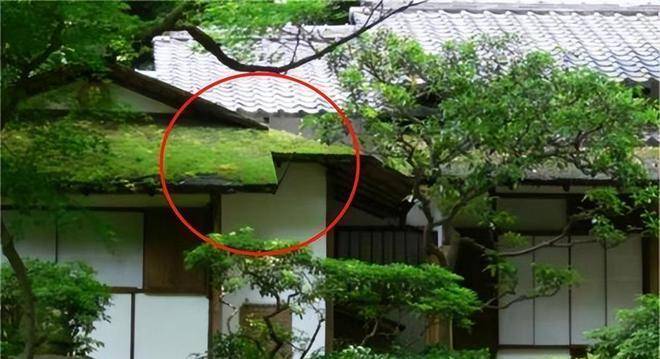 "家有滴泪屋,三年一场哭","滴泪屋"指啥?修房子有啥讲究?