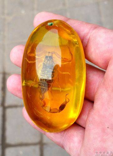 琥珀的鉴定_真伪_颜色_气泡