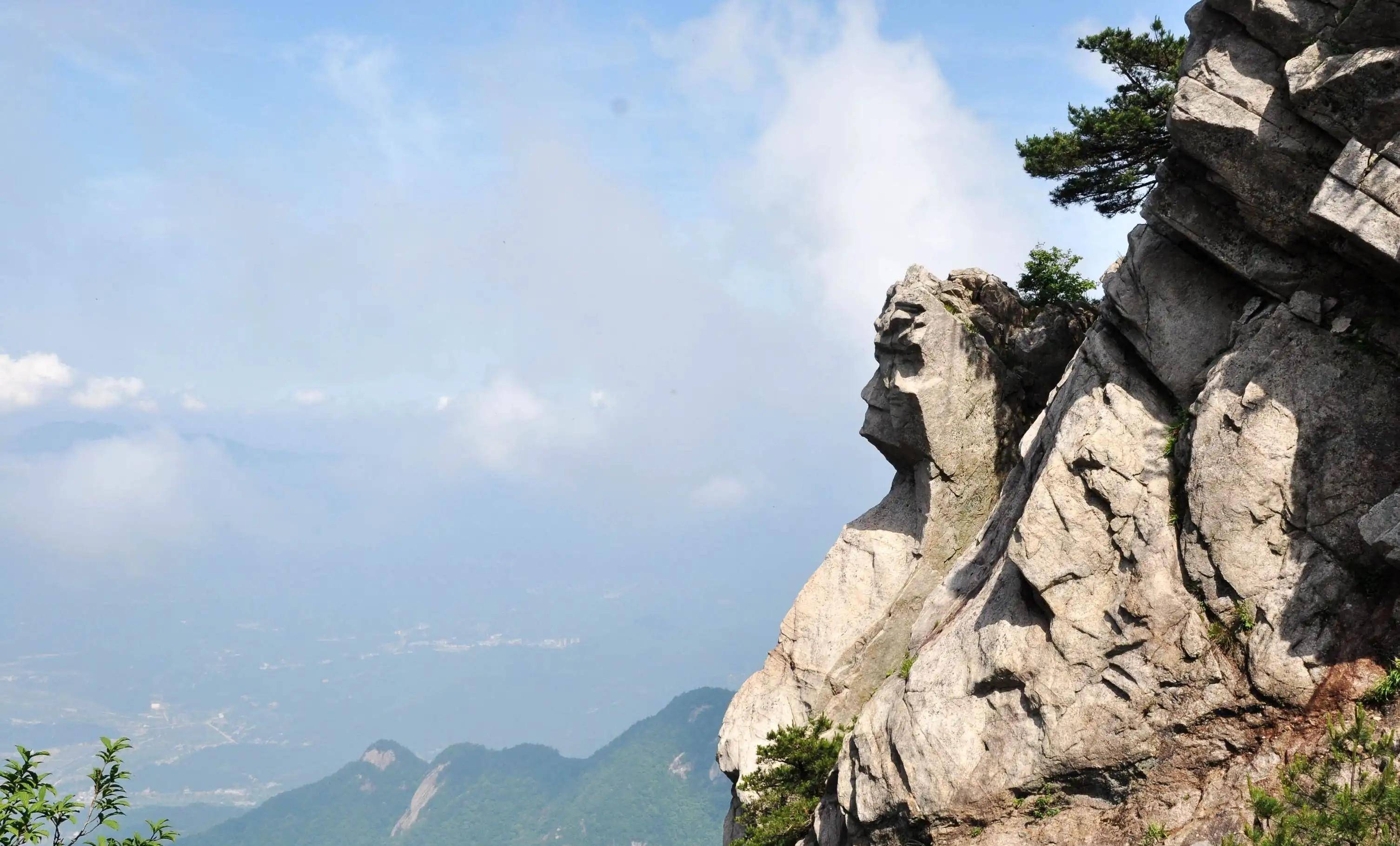 首届大别山(天堂寨)杜鹃旅游文化节即将开始_风景区_景观_满山