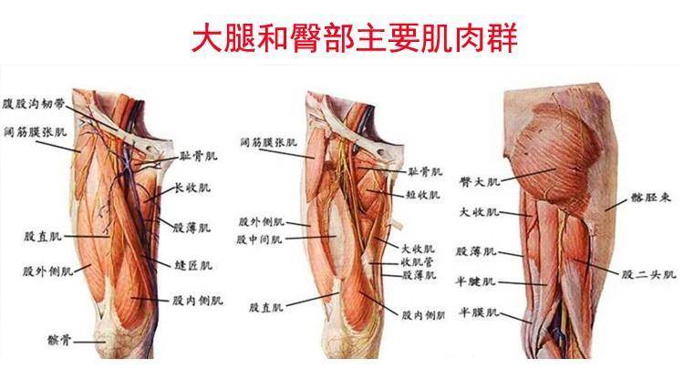 练臀腿很厉害,是这样去蹲的