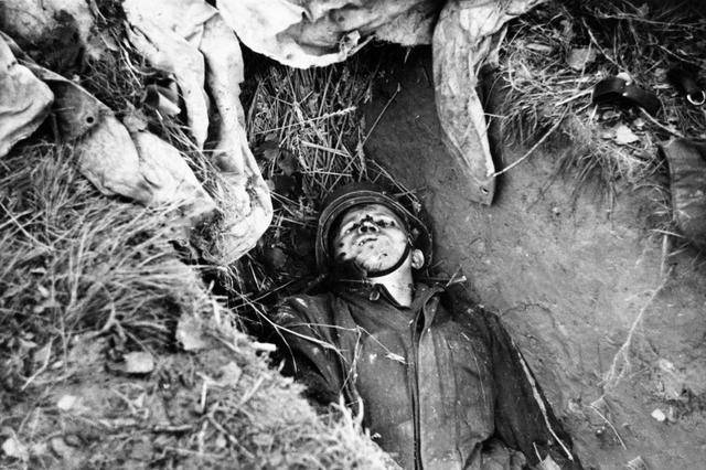 在战场上装死到底有没有用?老兵:只有傻瓜才会这么做!_士兵_古代_战争