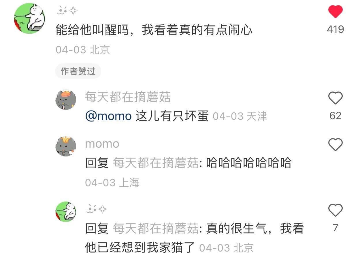 给这猫找个班儿上吧，实在看不得它睡得这么舒服