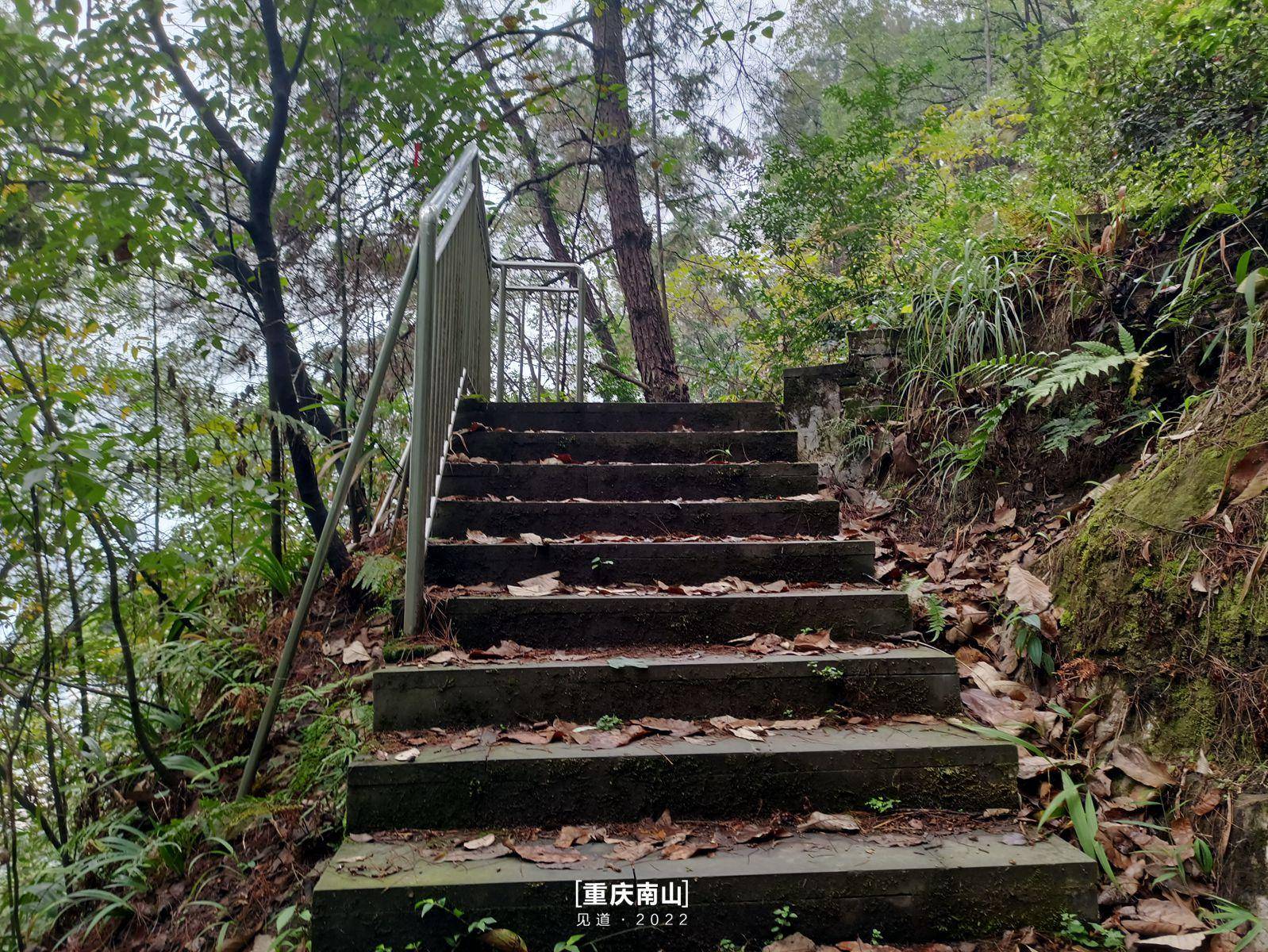 重庆南山入门登山攻略|上新街·杨家山步道_by_黄桷_前驱