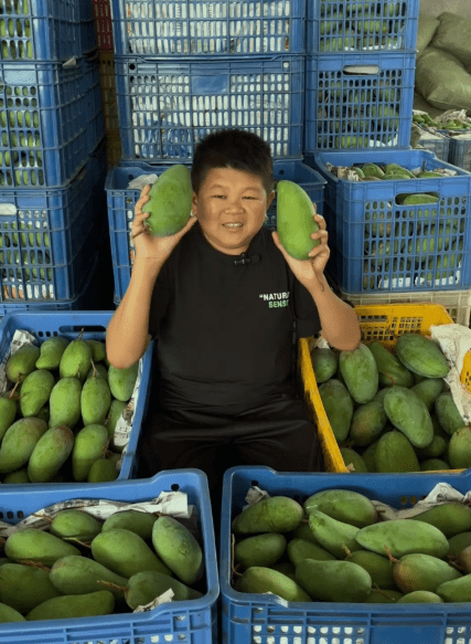 网红"小六视野"自曝停更原因,团队解散公司面临倒闭_投资_网友_因为