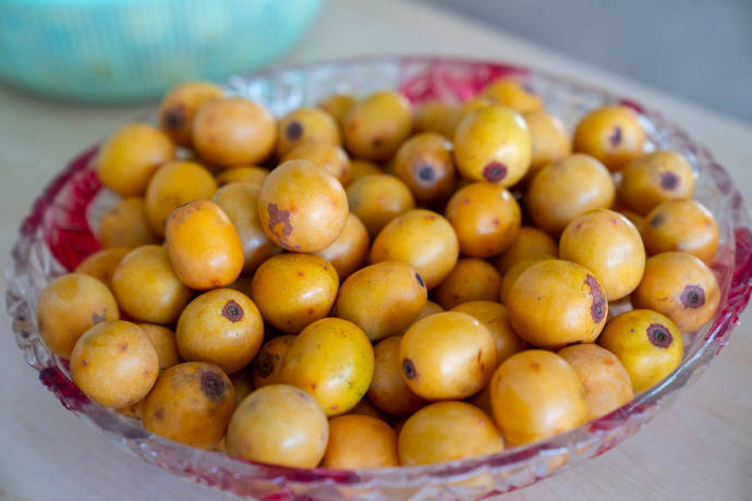 你们都吃过!_酸枣树_自然_鲜果