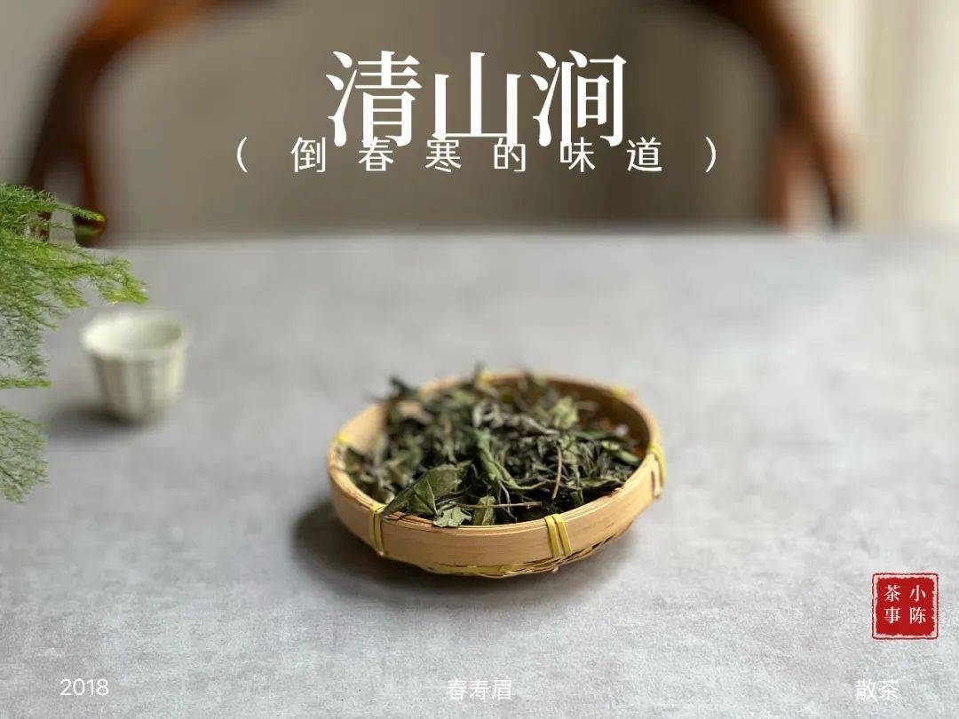 寿眉是什么茶（收藏白茶，为何老茶客更喜欢寿眉）