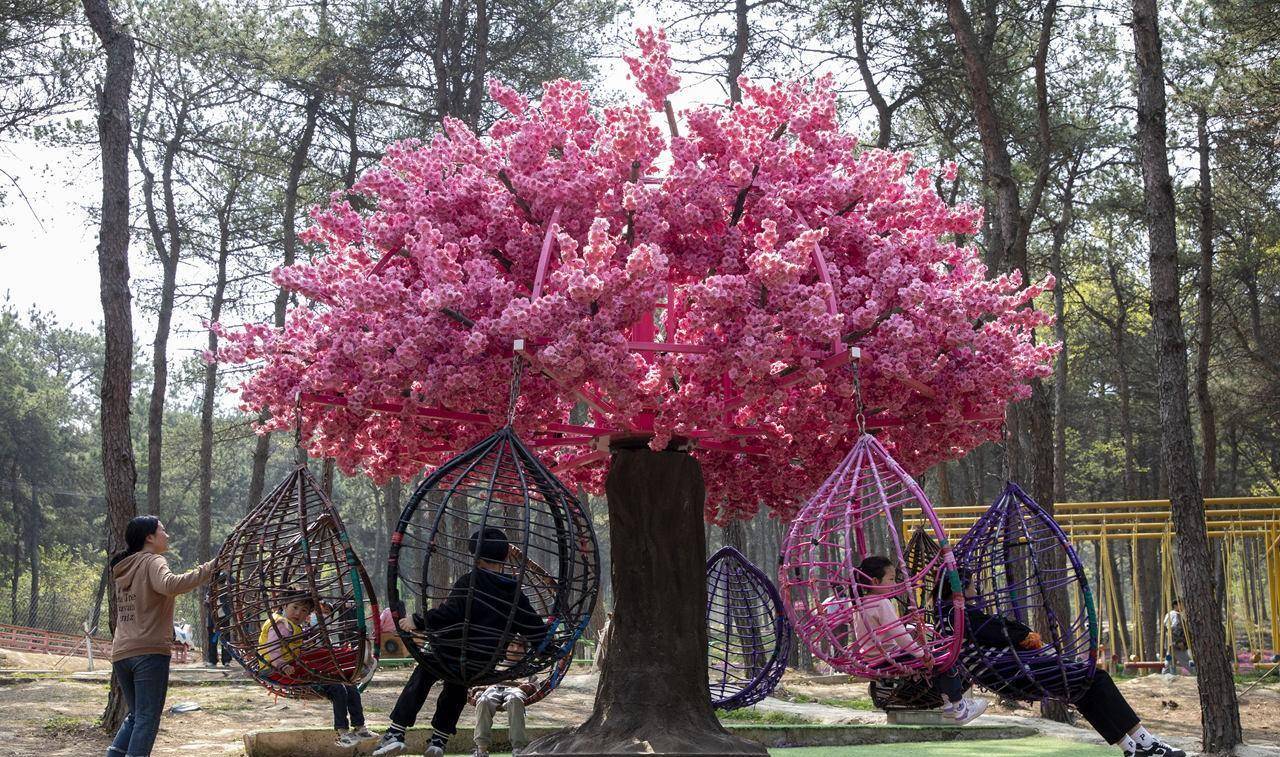 安山森林公園:尋根,避暑,娛樂的好去處_旅遊_奶奶_遊客