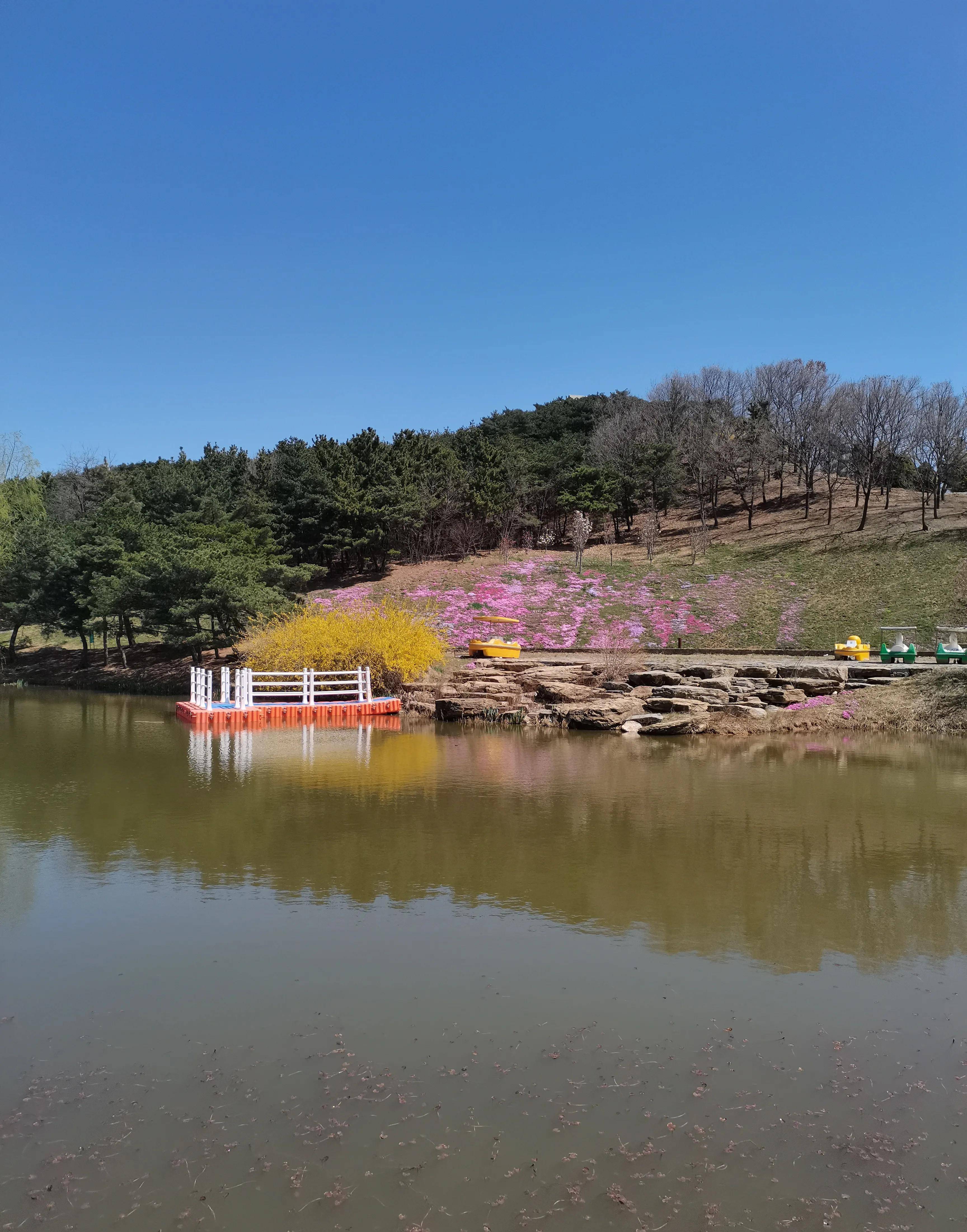 遊英歌石植物園隨想-植物園的未來可期!_旅遊_休閒_科普