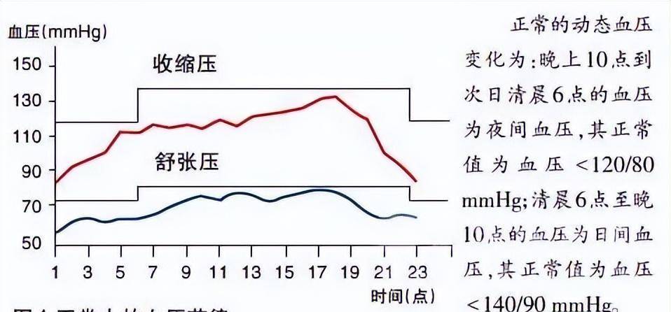 正常人24小时血压波动图片