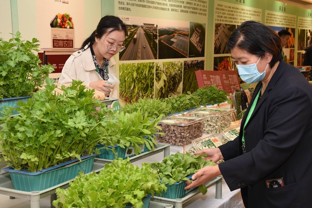 首届山东聊城(莘县)绿色蔬菜博览会新闻发布会在京举行_孙奇宏_北京