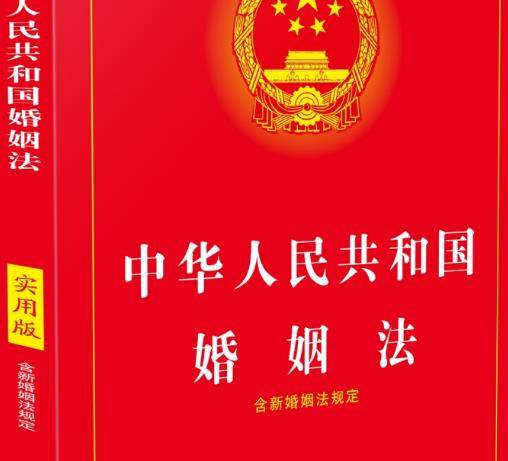 抚养费支付标准的法律规定_离婚抚养费支付标准_抚养费支付标准