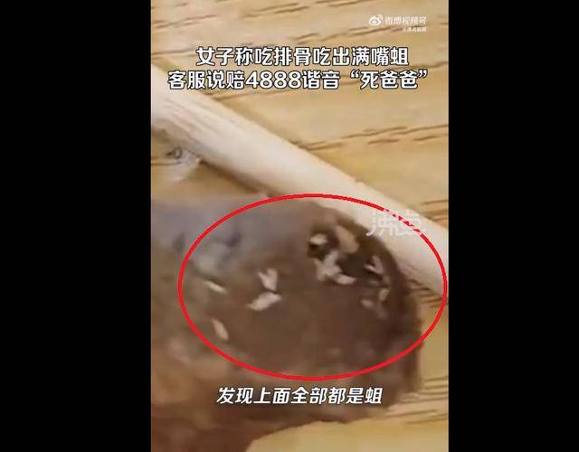 女子称在黄蜀郎鸡公煲吃排骨发现满嘴是蛆 赔偿数额引争议(图2)