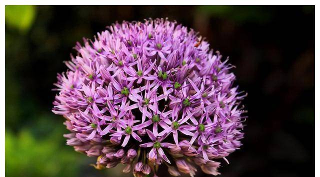 2023年四月,运势极佳,否极泰来,事业鹏程万里,大吉大利发大财_生活